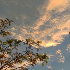 Meet your Posher, Fontaine